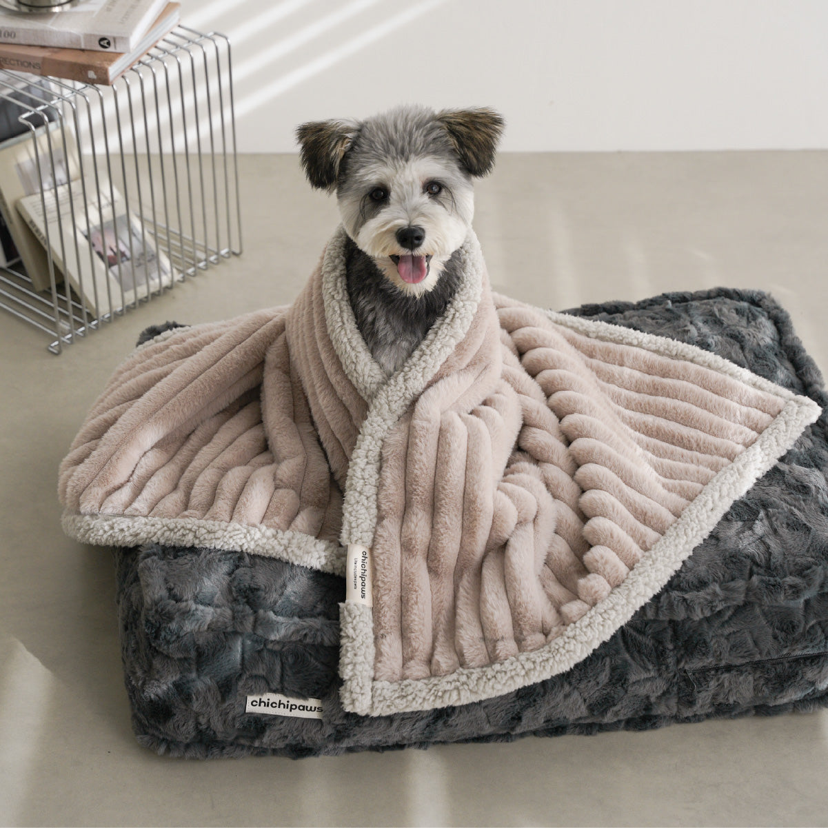 Dog Blanket